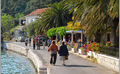 Mljet