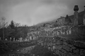 Travnik