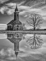 Winter Reflect…