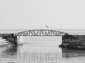Fly Over