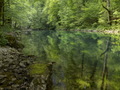 Green Bliss