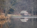 Lake Cottage