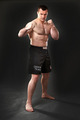 Mirko CroCOP