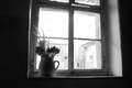 prozor u dvori…