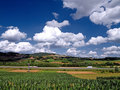 Zagorje zelene