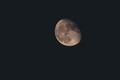 Moon 250mm