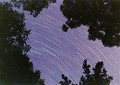 Startrails