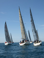 regata rovinj