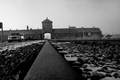 birkenau, ausc…