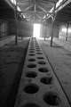 birkenau, ausc…