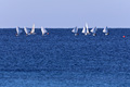 regata