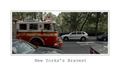 NY Bravest