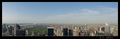 ny panorama