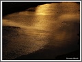 Zazlatila se r&hellip;