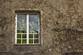 Green Window