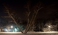 winter night 2