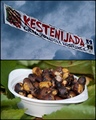 1. Kestenijada…