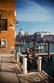 Venezia '…