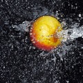 apple splash