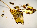 golden leaf