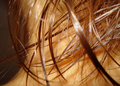 hair