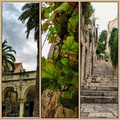 hvar kolaz 2