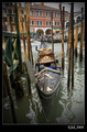 Venice x