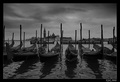 Venice 3 BW