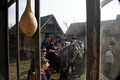 društvo