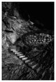 stairway to he…