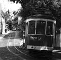 tram 548