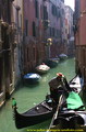 Venezia 33