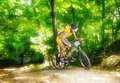 XC MTB 2010