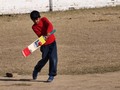 Cricket