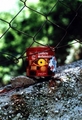 ©ame®@ obs©u®@…