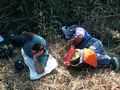  hrk pauza