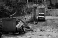 Pola- pola