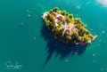 Bled