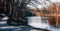 Maksimir