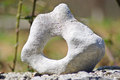 funny stone :)