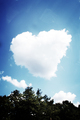 loving sky