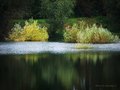 Jezero Orešje