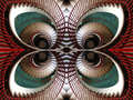 Butterfly in T…