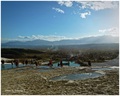 Pamukkale