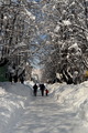 Cetinje14,02,2…