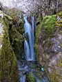 Slapić