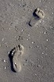 footprints