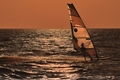 windsurfer