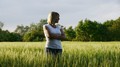 Wheat field