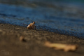 autumn on my w…